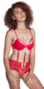 Women's Mesh Underwire Teddy or Bra and Boy Short Set #1016