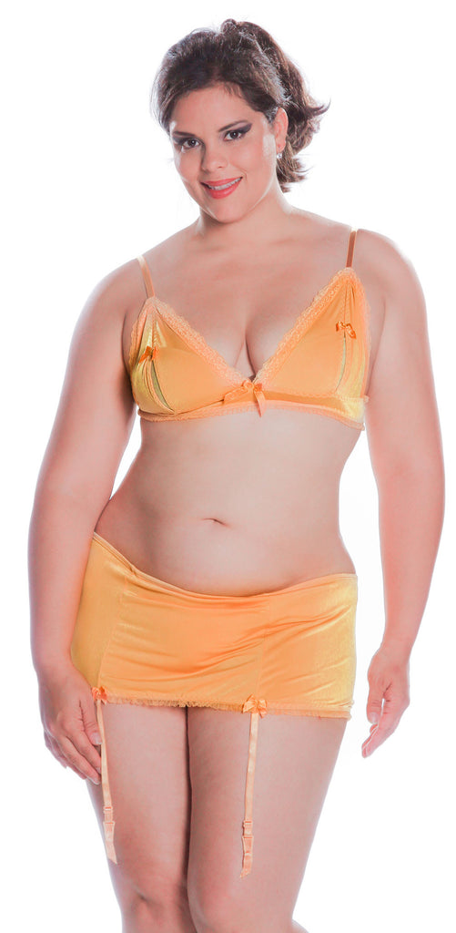 Women's Plus Size Stretch Knit Peek-A-Boo Bra And Skirtini Lingerie Se –  shirleymccoycouture
