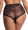 Women's Missy and Plus Stretch Lace High Rise Cheeky Thong # 8200/X
